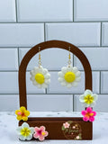 Smiling Daisies