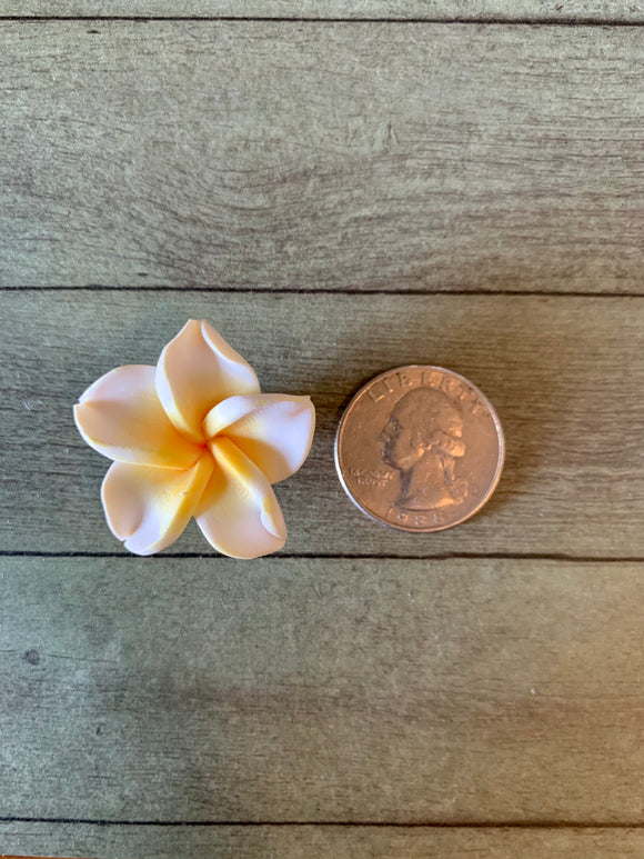 Plumeria Clay